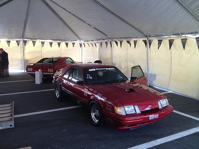 Charlotte Mustang 50th (10)