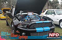 0695 NPD Silver Springs Show