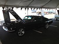 Charlotte Mustang 50th (31)