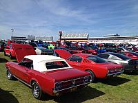 Charlotte Mustang 50th (47)