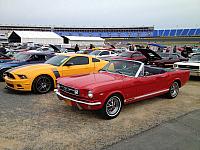 Charlotte Mustang 50th (55)