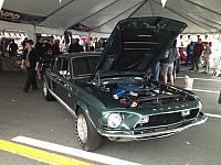 Charlotte Mustang 50th (57)