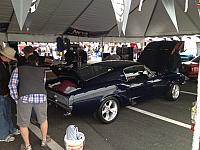 Charlotte Mustang 50th (58)