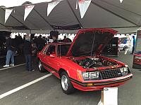 Charlotte Mustang 50th (60)