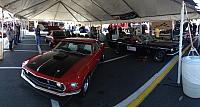 Charlotte Mustang 50th (72)