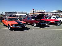 Charlotte Mustang 50th (79)