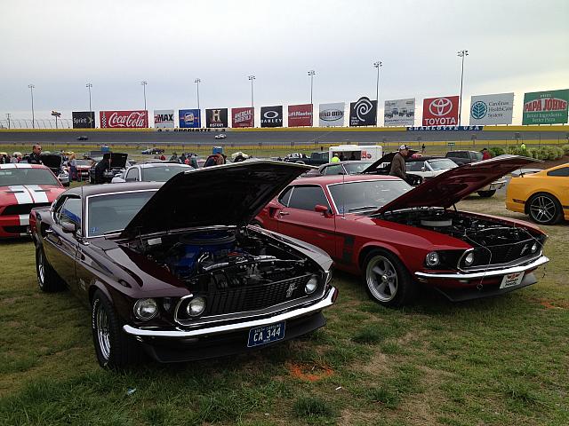 Charlotte Mustang 50th (52)