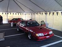 Charlotte Mustang 50th (10)