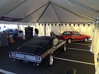 Charlotte Mustang 50th (11)