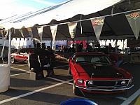 Charlotte Mustang 50th (27)