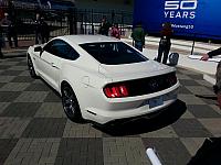 Charlotte Mustang 50th (50)