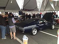 Charlotte Mustang 50th (59)